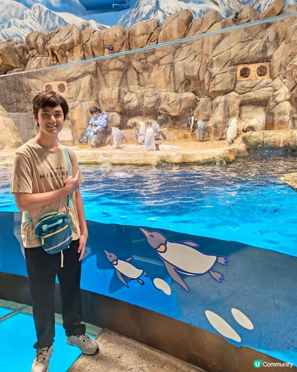 勁Fun海洋公園一日遊😊