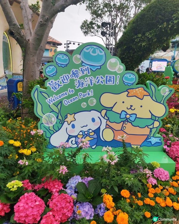 勁Fun海洋公園一日遊😊