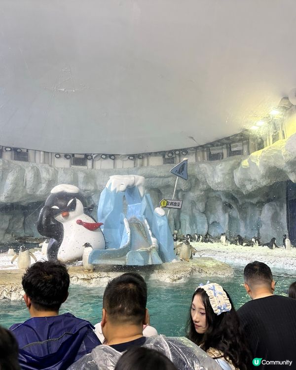 海洋王國🐧食住玩🌈一條龍！