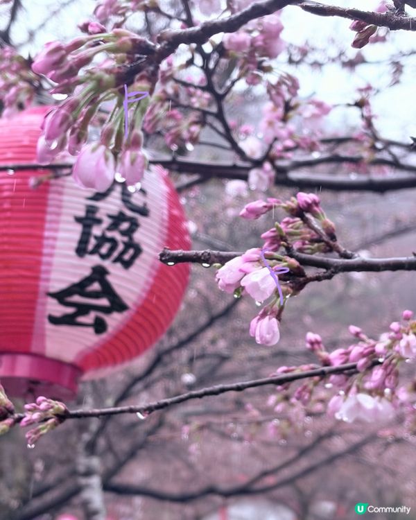 【春季旅行】延續雨中浪漫