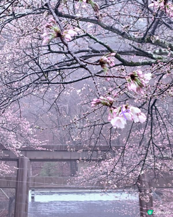 【春季旅行】延續雨中浪漫