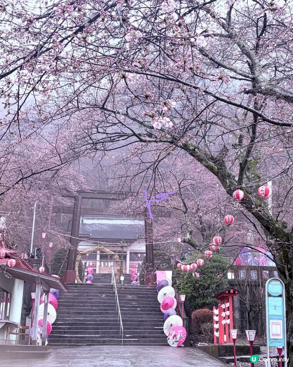 【春季旅行】延續雨中浪漫