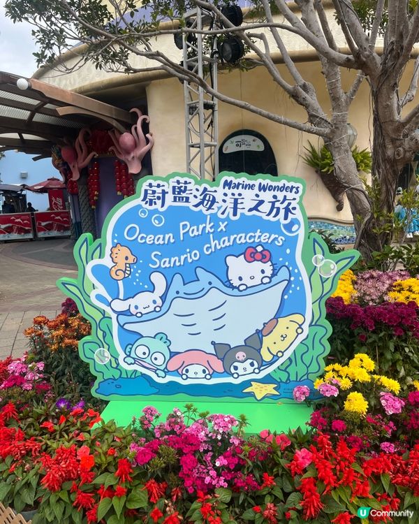 海洋公園Sanrio體驗