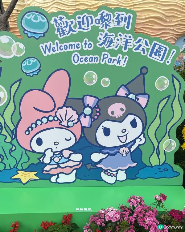 海洋公園Sanrio體驗