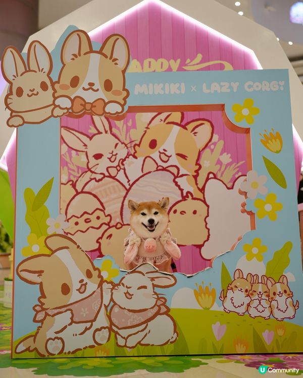 🪻Mikiki x Lazy Corgi 春日農莊派對🌷