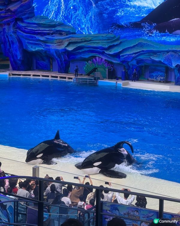 北上玩樂🐧珠海長隆海洋王國
