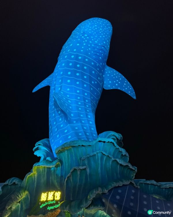 北上玩樂🐧珠海長隆海洋王國