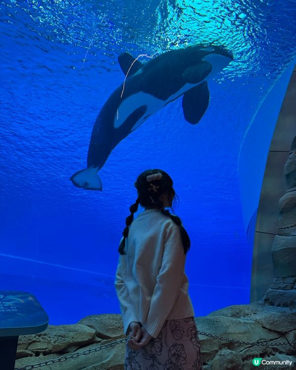 北上玩樂🐧珠海長隆海洋王國