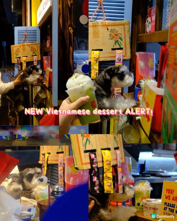 香港寵物友善越南餐廳 老闆娘超愛狗！ 記得去埋新開嘅甜品分店