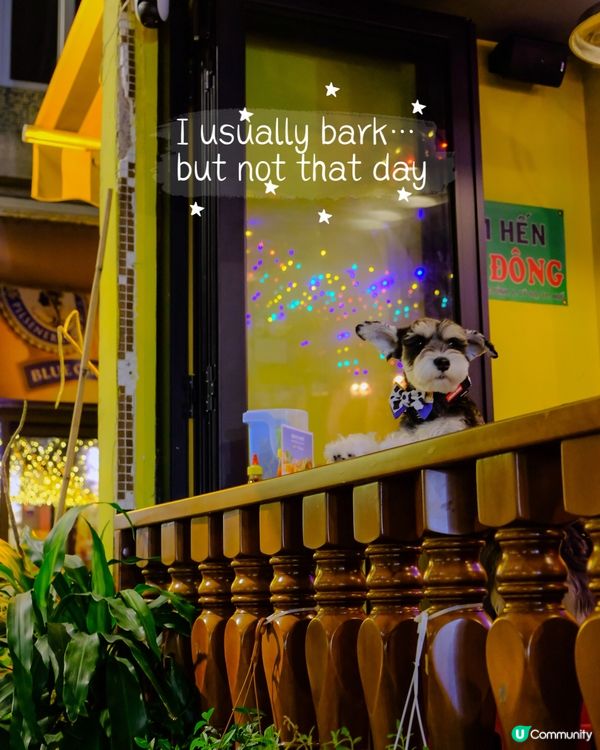 香港寵物友善越南餐廳 老闆娘超愛狗！ 記得去埋新開嘅甜品分店