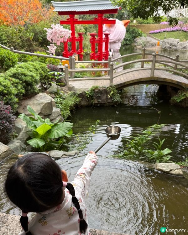 超大遊樂園🛝仲有滑雪場⛸️同餵草泥馬🦙