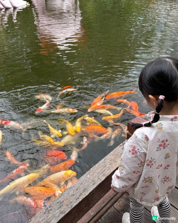 超大遊樂園🛝仲有滑雪場⛸️同餵草泥馬🦙