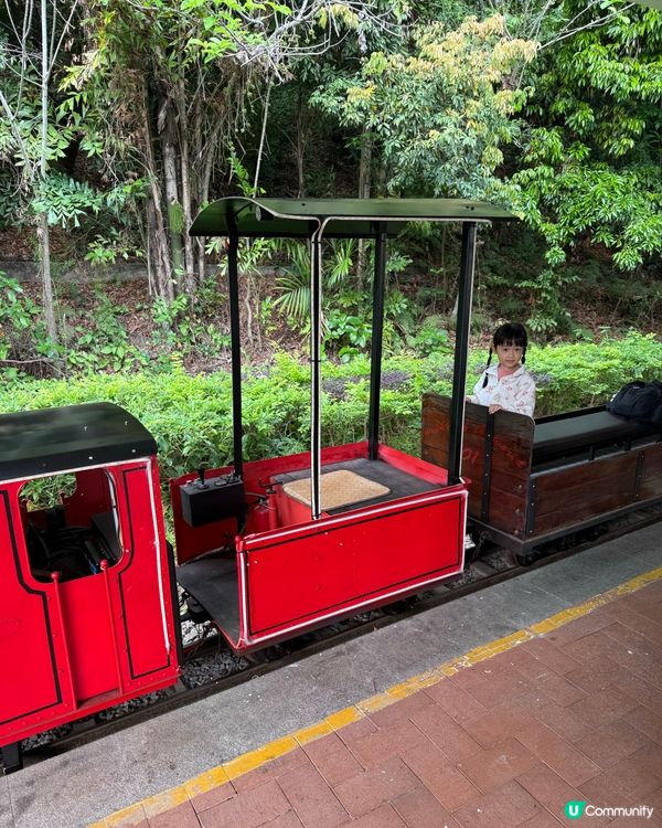 超大遊樂園🛝仲有滑雪場⛸️同餵草泥馬🦙