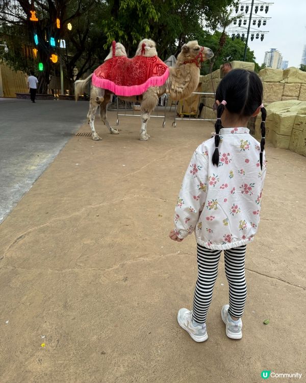 超大遊樂園🛝仲有滑雪場⛸️同餵草泥馬🦙