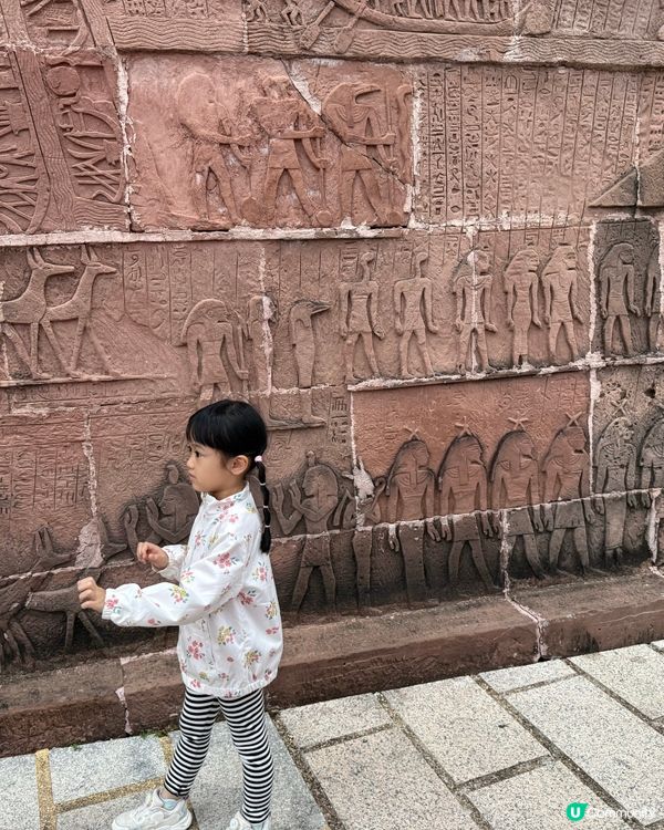 超大遊樂園🛝仲有滑雪場⛸️同餵草泥馬🦙