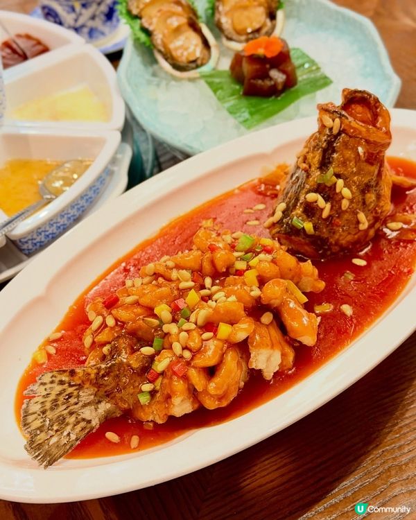 嘆京菜！海港城羲和雅苑春季優惠🦀🥢