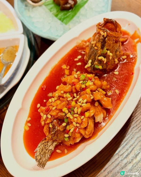 嘆京菜！海港城羲和雅苑春季優惠🦀🥢