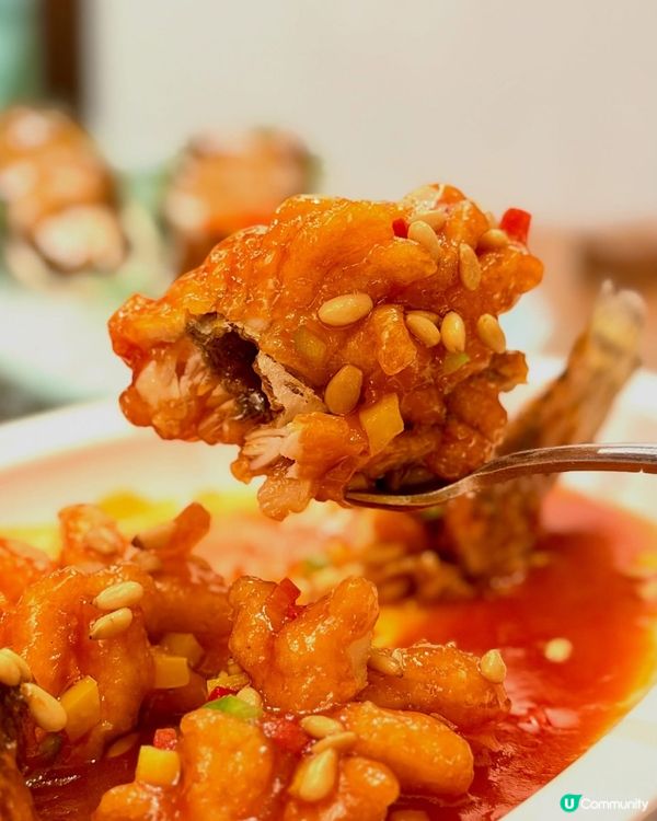 嘆京菜！海港城羲和雅苑春季優惠🦀🥢