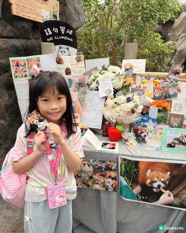 真係好鍾意去海洋公園呀～💙🩵