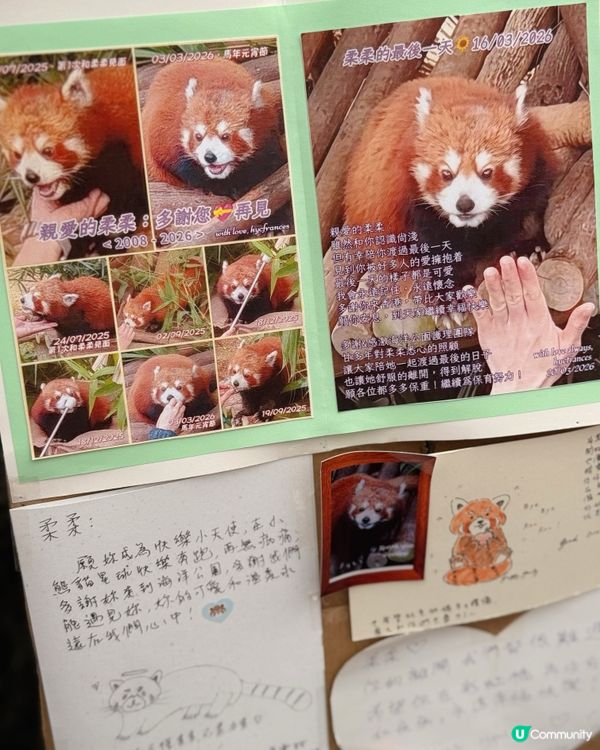 真係好鍾意去海洋公園呀～💙🩵