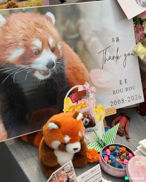 真係好鍾意去海洋公園呀～💙🩵