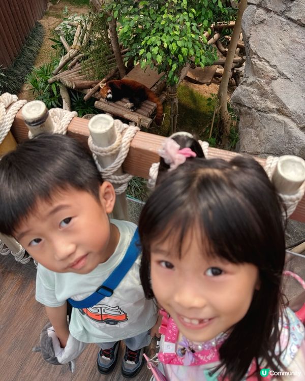 真係好鍾意去海洋公園呀～💙🩵