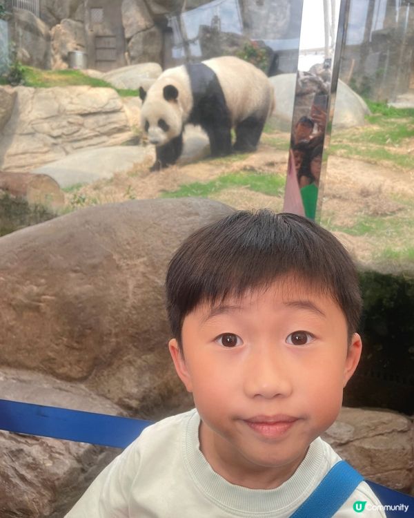 真係好鍾意去海洋公園呀～💙🩵