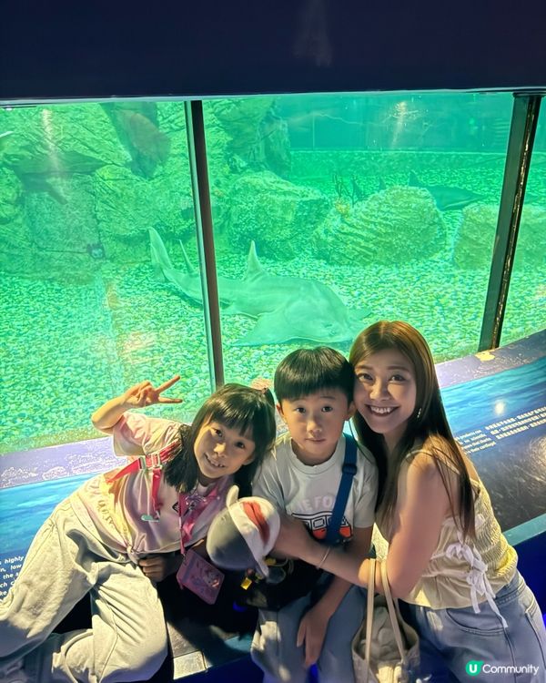 真係好鍾意去海洋公園呀～💙🩵