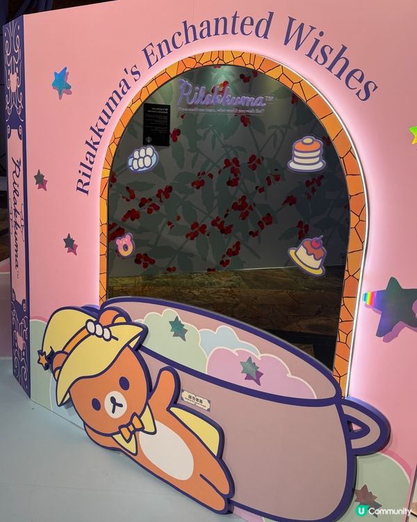 鬆弛熊快閃店🐻