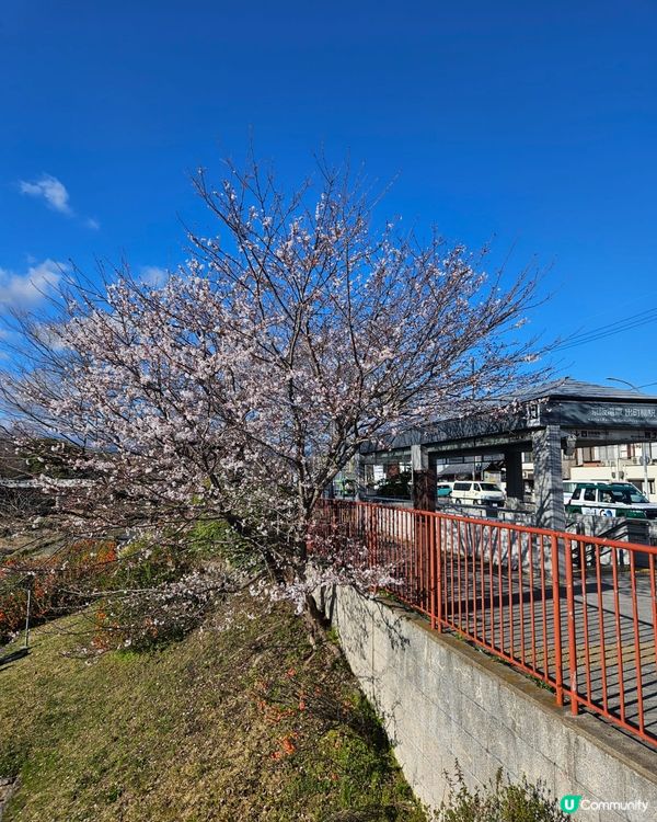 京都出町柳