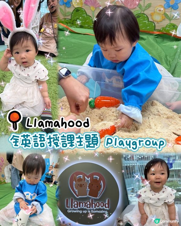 🧸全英語授課主題 Playgroup✏️Llamahood🎉