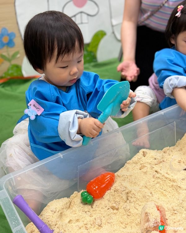 🧸全英語授課主題 Playgroup✏️Llamahood🎉