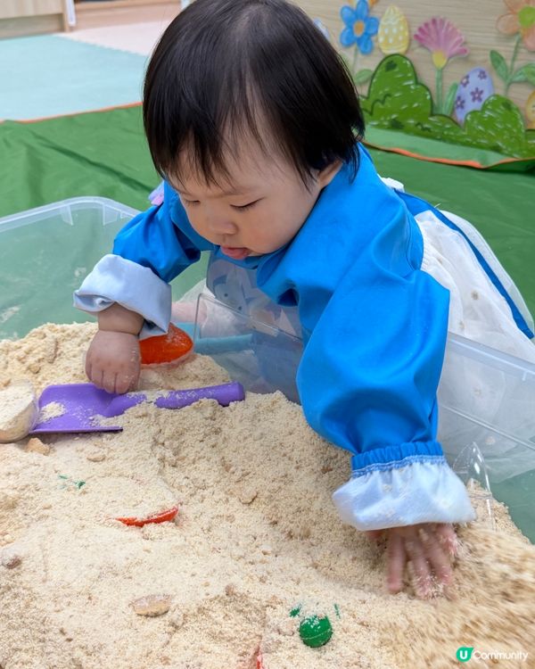 🧸全英語授課主題 Playgroup✏️Llamahood🎉