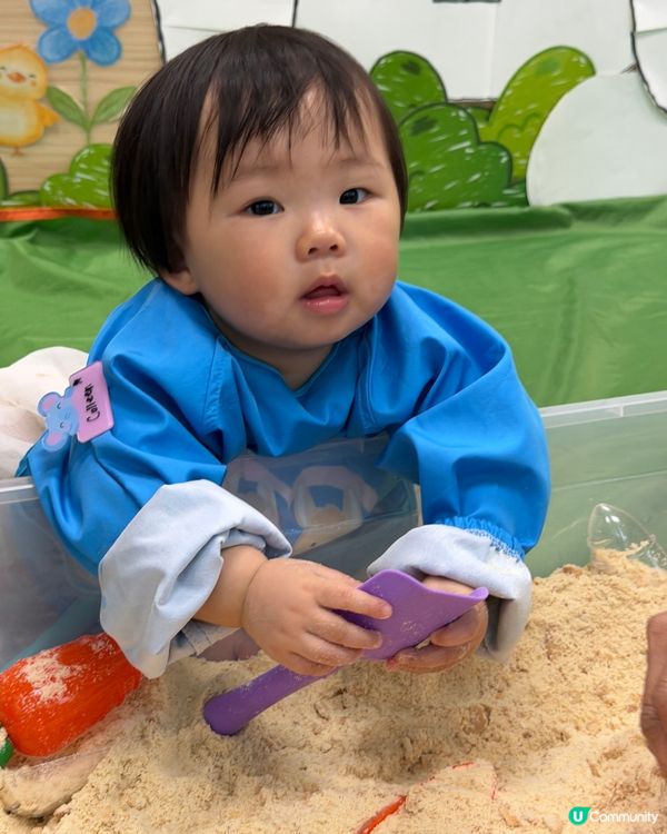 🧸全英語授課主題 Playgroup✏️Llamahood🎉