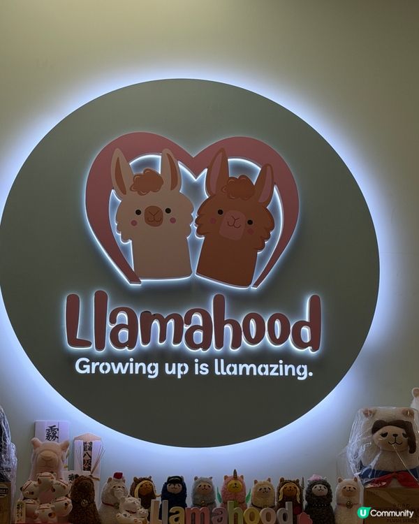 🧸全英語授課主題 Playgroup✏️Llamahood🎉