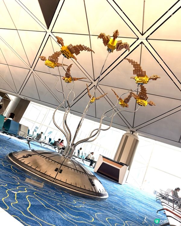 《機場》最美觀景台