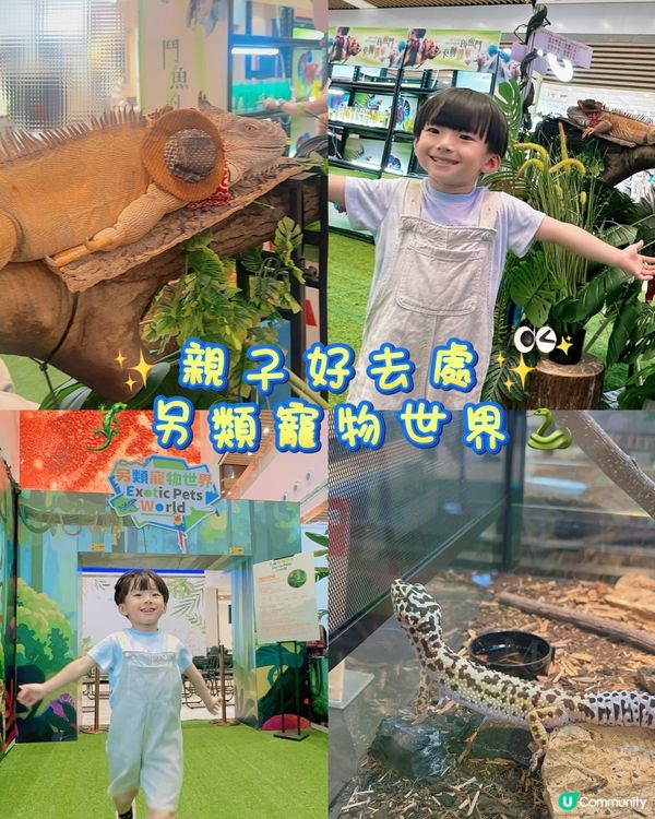 兩棲爬蟲展！🤩 仔仔話想做動物學家！🧑‍🔬