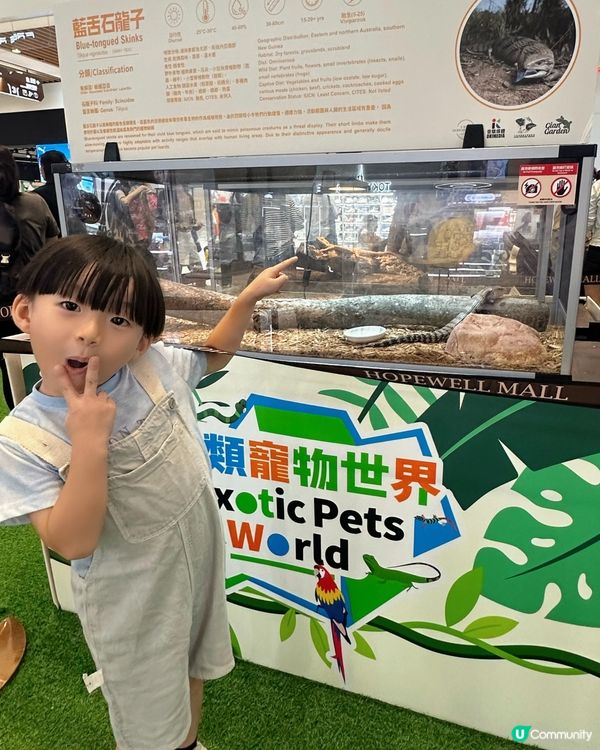 兩棲爬蟲展！🤩 仔仔話想做動物學家！🧑‍🔬