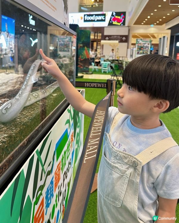 兩棲爬蟲展！🤩 仔仔話想做動物學家！🧑‍🔬