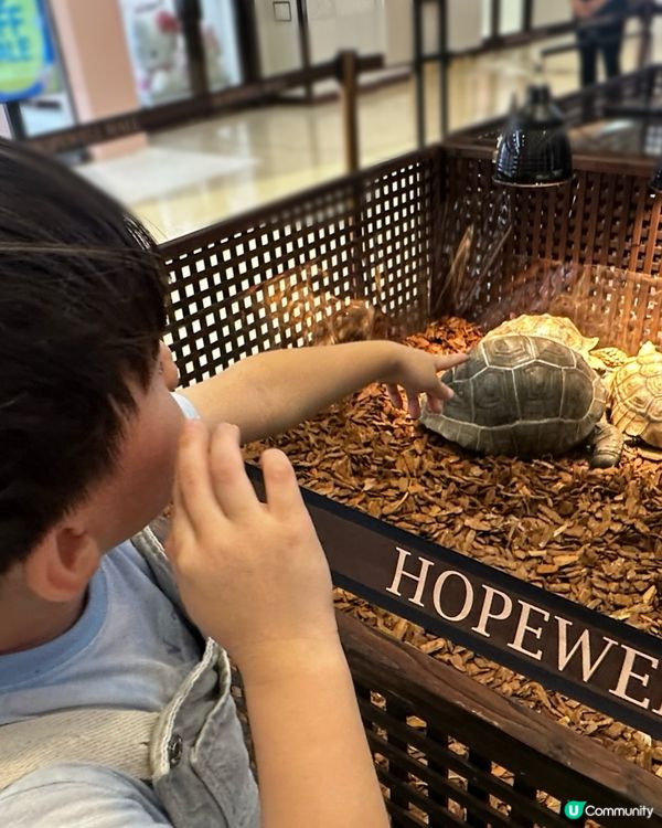 兩棲爬蟲展！🤩 仔仔話想做動物學家！🧑‍🔬