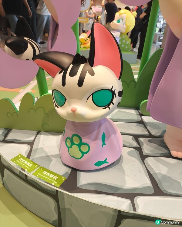 屯門市廣場molly