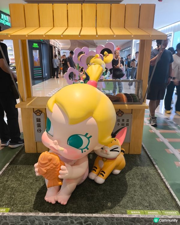 屯門市廣場molly