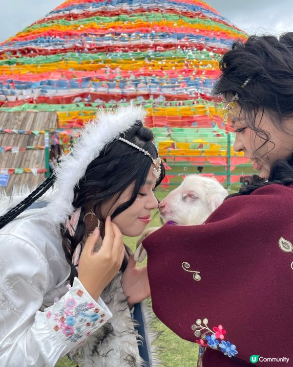 📸【雲南香格里拉】藏服拍照攻略|化身卓瑪漫步人間天堂!🇨🇳✨...