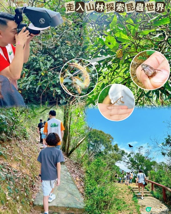 🌿一日玩盡山林+漁排!真心好玩🐟💕