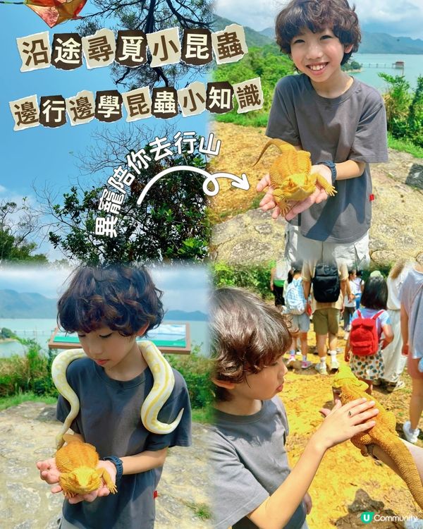 🌿一日玩盡山林+漁排!真心好玩🐟💕