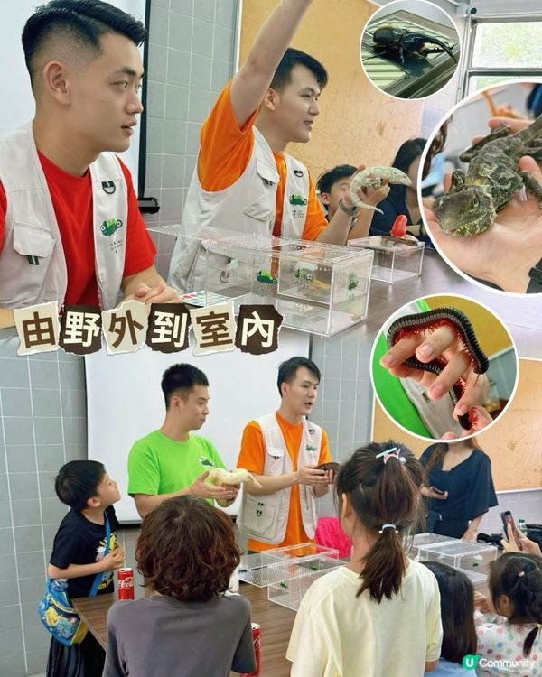 🌿一日玩盡山林+漁排!真心好玩🐟💕