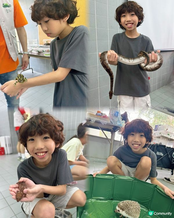 🌿一日玩盡山林+漁排!真心好玩🐟💕