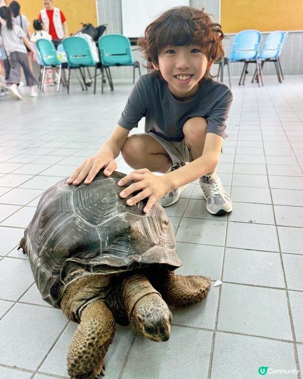 🌿一日玩盡山林+漁排!真心好玩🐟💕