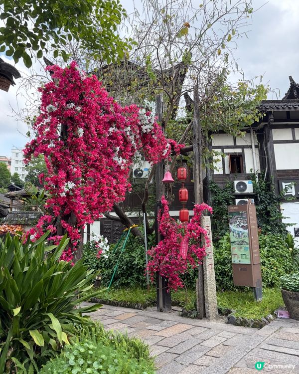 摩蠍媽一拖三同閨蜜遊甘坑古鎮