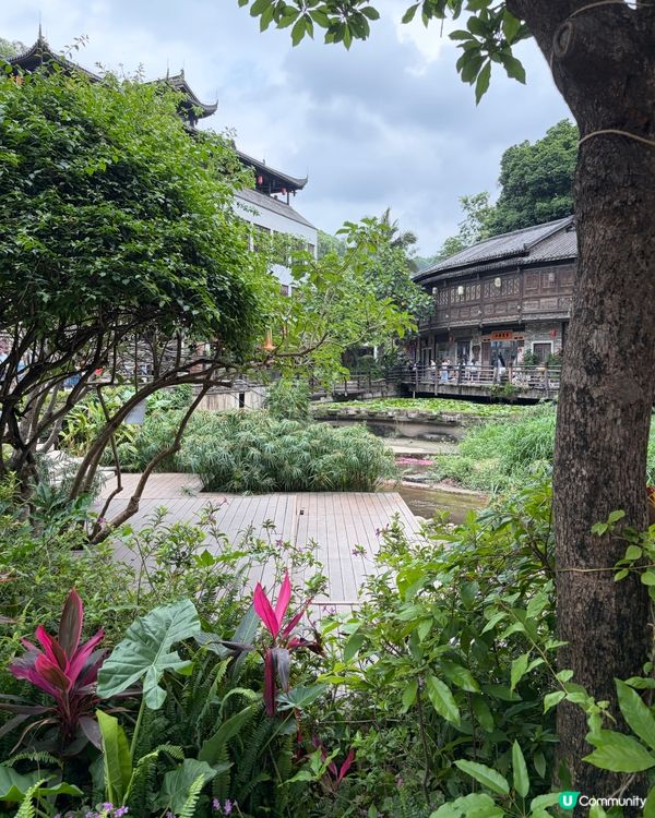 摩蠍媽一拖三同閨蜜遊甘坑古鎮